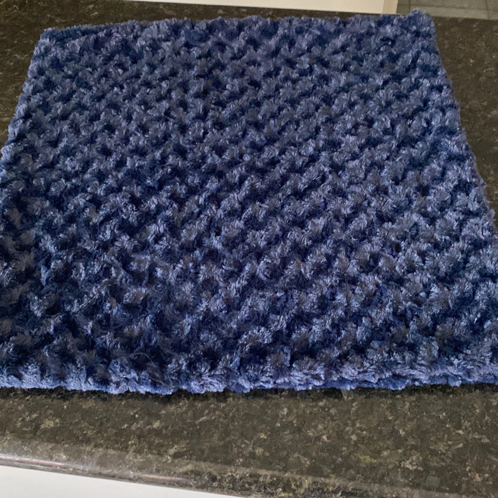 NWOT Super Soft Plush Pillow Cover